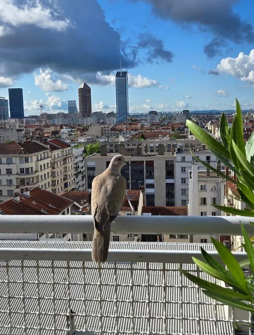 Plein Sud Terrasse Climatisation Garage Netflix Apartment Lyon